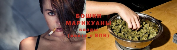 не бодяженный Иннополис