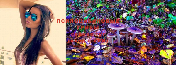 бошки Инсар