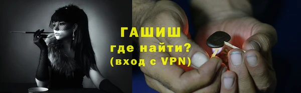 гидра Каменка