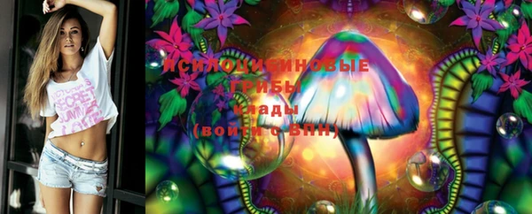 не бодяженный Иннополис