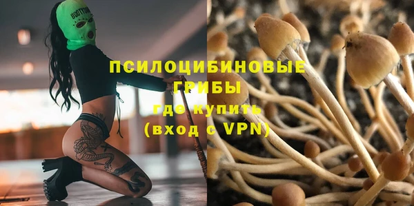 бошки Инсар